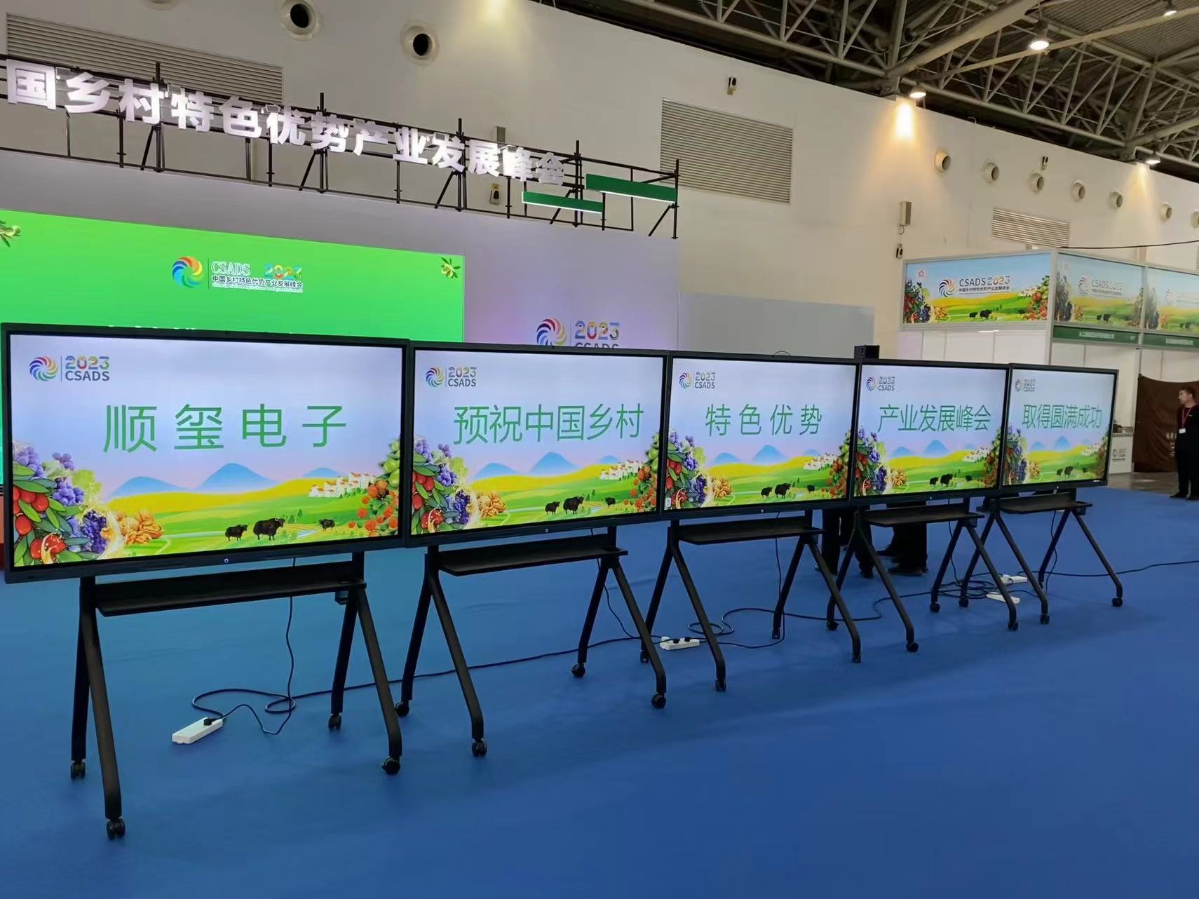中国乡村特色发展峰会（活动照）